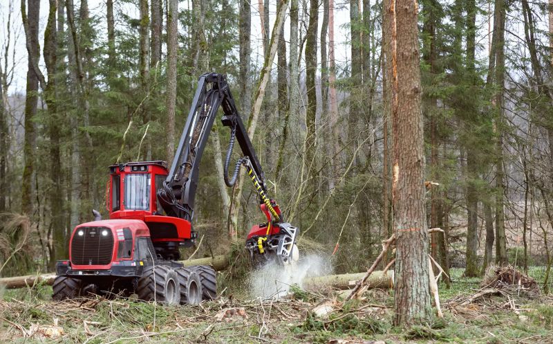 Forest Debris Removal