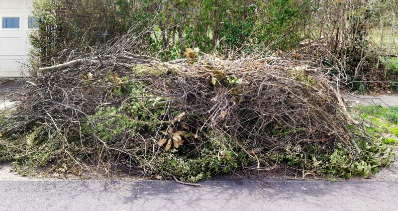 Forest Debris Removal