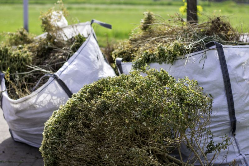 Forest Debris Removal