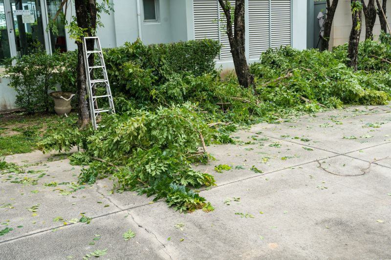 Cherry Tree Removal in Bucks County, PA