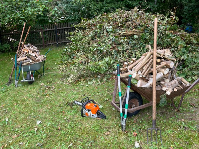 Forest Debris Removal