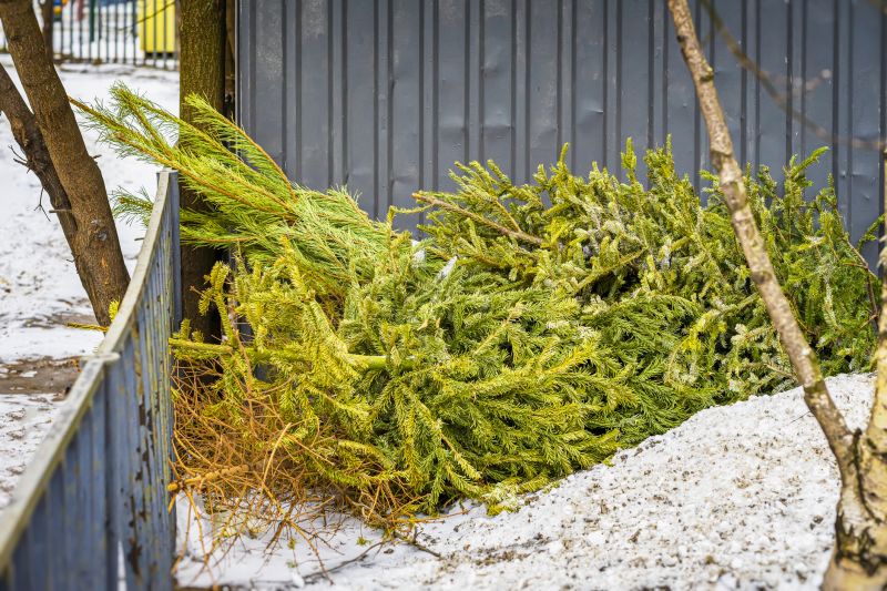Forest Debris Removal