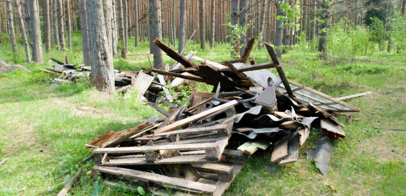 Forest Debris Removal