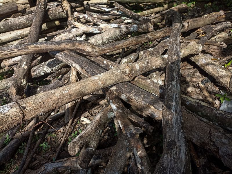 Log and Debris Collection