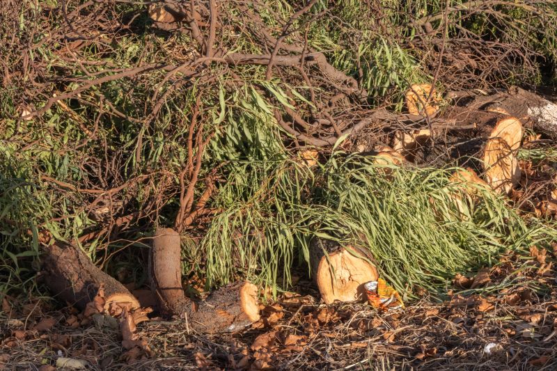 Autumn Leaf and Debris Collection