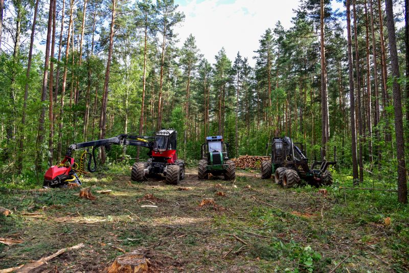 Undergrowth Removal in Cumming, GA