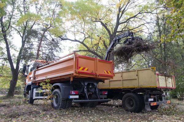 Grow your Forest Debris Removal business